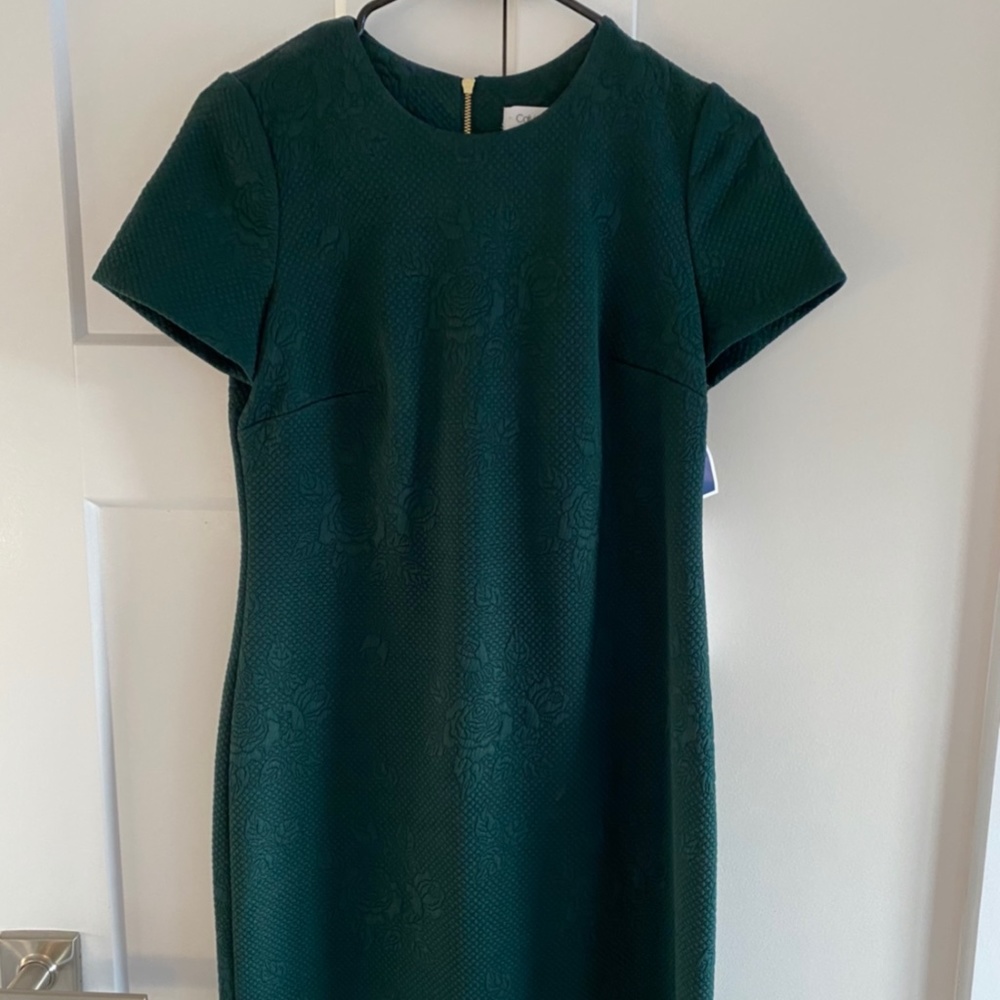 BRAND NEW: Calvin Klein Green Rose Dress
